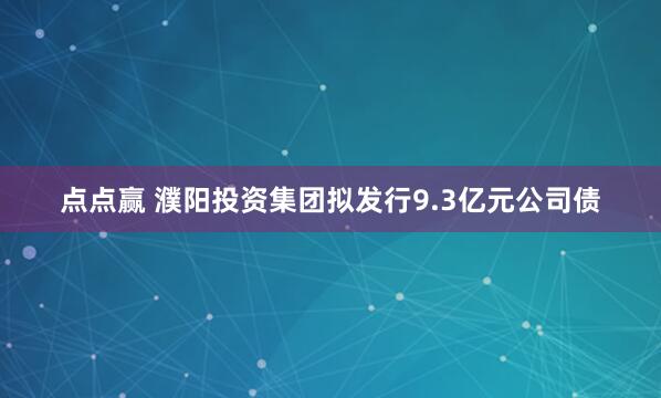点点赢 濮阳投资集团拟发行9.3亿元公司债