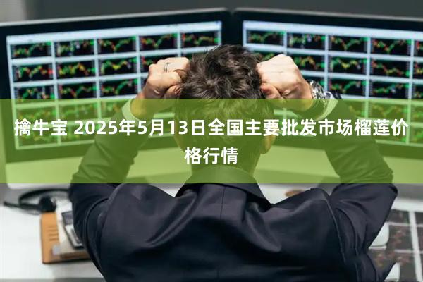 擒牛宝 2025年5月13日全国主要批发市场榴莲价格行情