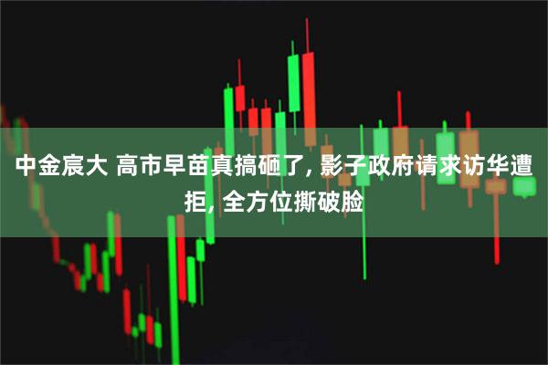 中金宸大 高市早苗真搞砸了, 影子政府请求访华遭拒, 全方位撕破脸