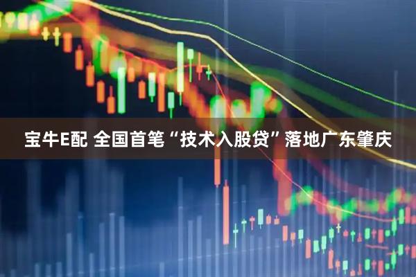 宝牛E配 全国首笔“技术入股贷”落地广东肇庆