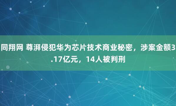 同翔网 尊湃侵犯华为芯片技术商业秘密，涉案金额3.17亿元，14人被判刑