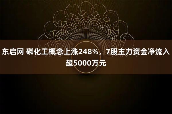 东启网 磷化工概念上涨248%，7股主力资金净流入超5000万元